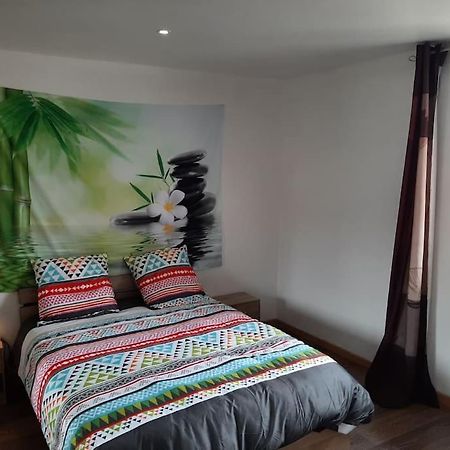 T3 Hyper-Centre Au Calme Tout Equipe Parking Prive Apartment Castres  Exterior photo