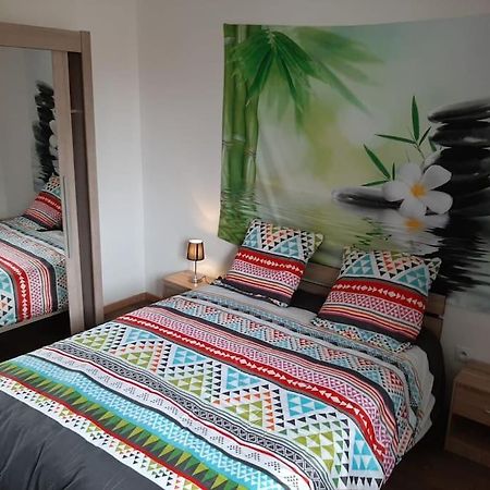 T3 Hyper-Centre Au Calme Tout Equipe Parking Prive Apartment Castres  Exterior photo